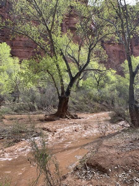 Tourists hoping to see Arizona falls forced out by flooding